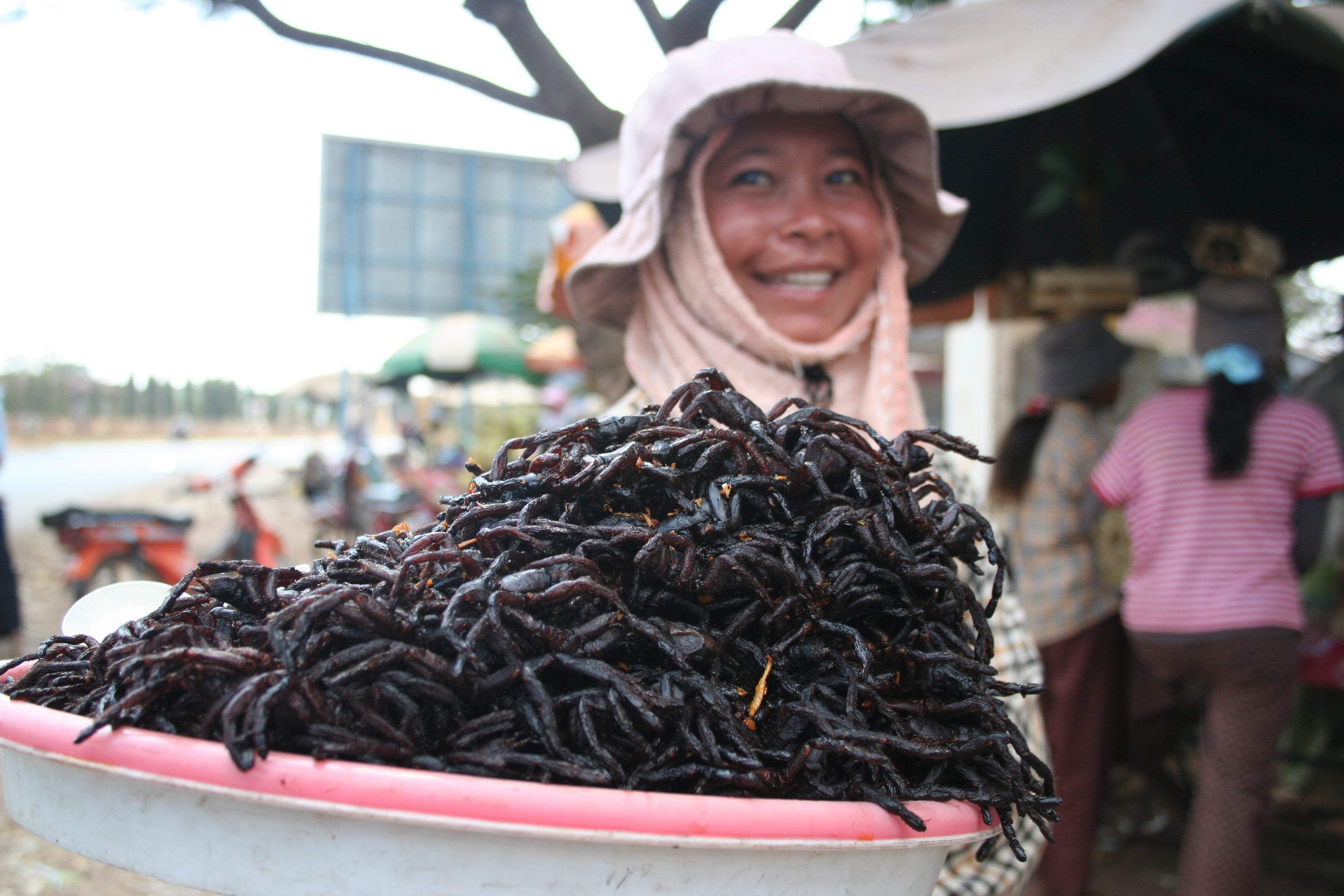 Eating Spiders in Cambodia