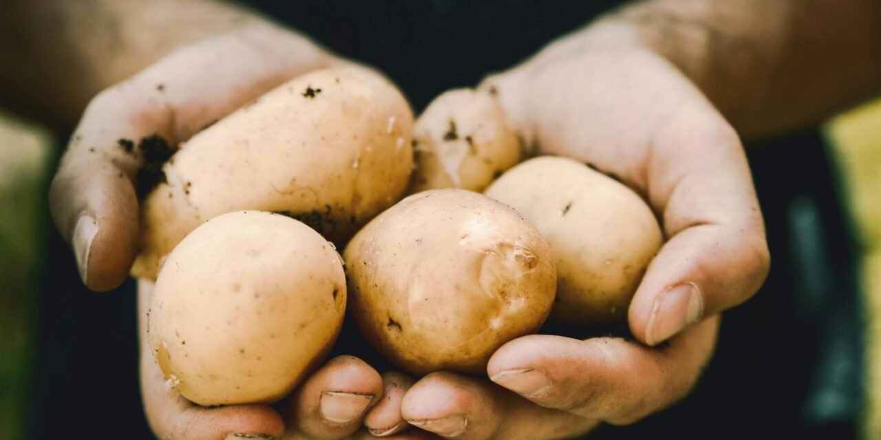Potato Kugel with Fried Shallots from Adam Perry Lang