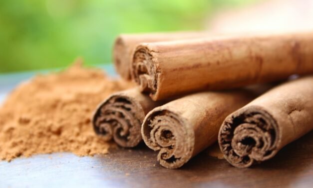 Bigelow® Cinnamon Stick® Baked Apples