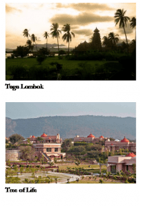 Togu Lombok & Tree of Live