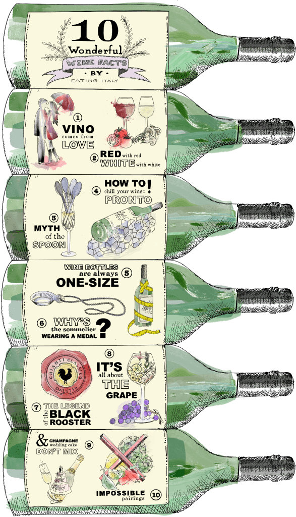 10 Italian wine facts infographic