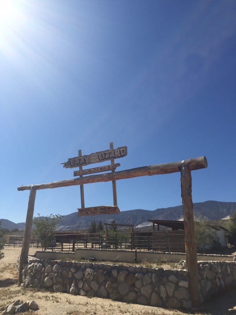 Lazy Lizard Ranch Entrance - Photo: Brenda C Hill