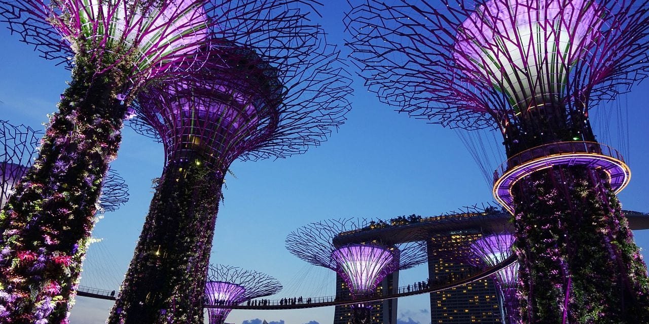 7 Unforgettable Things to Do in Singapore