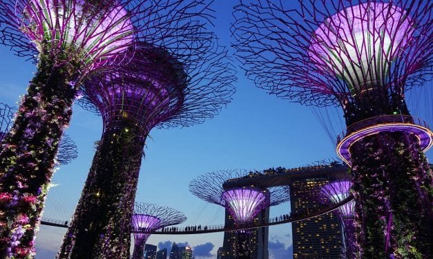 7 Unforgettable Things to Do in Singapore