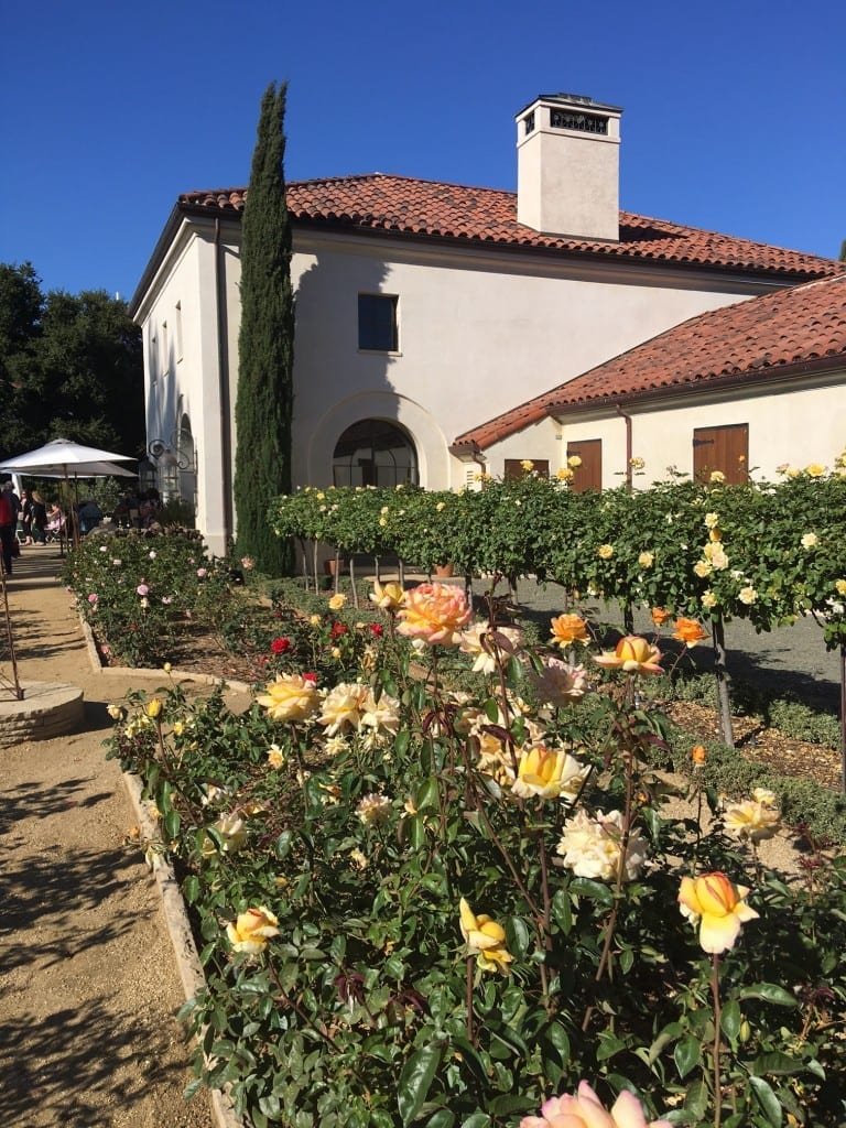 A welcome entrance to Bruce Winery - Photo - Brenda C. Hill