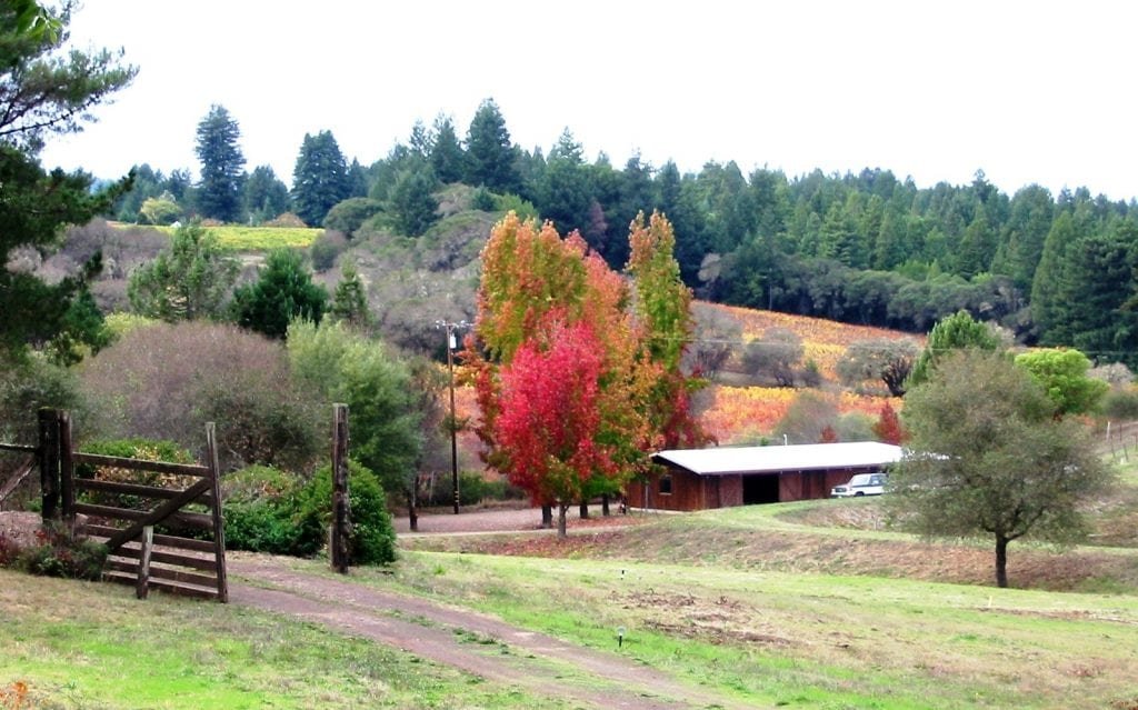 Lula Cellars New Property Tasting Room