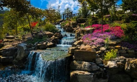 10 Places to Photograph in the Spring