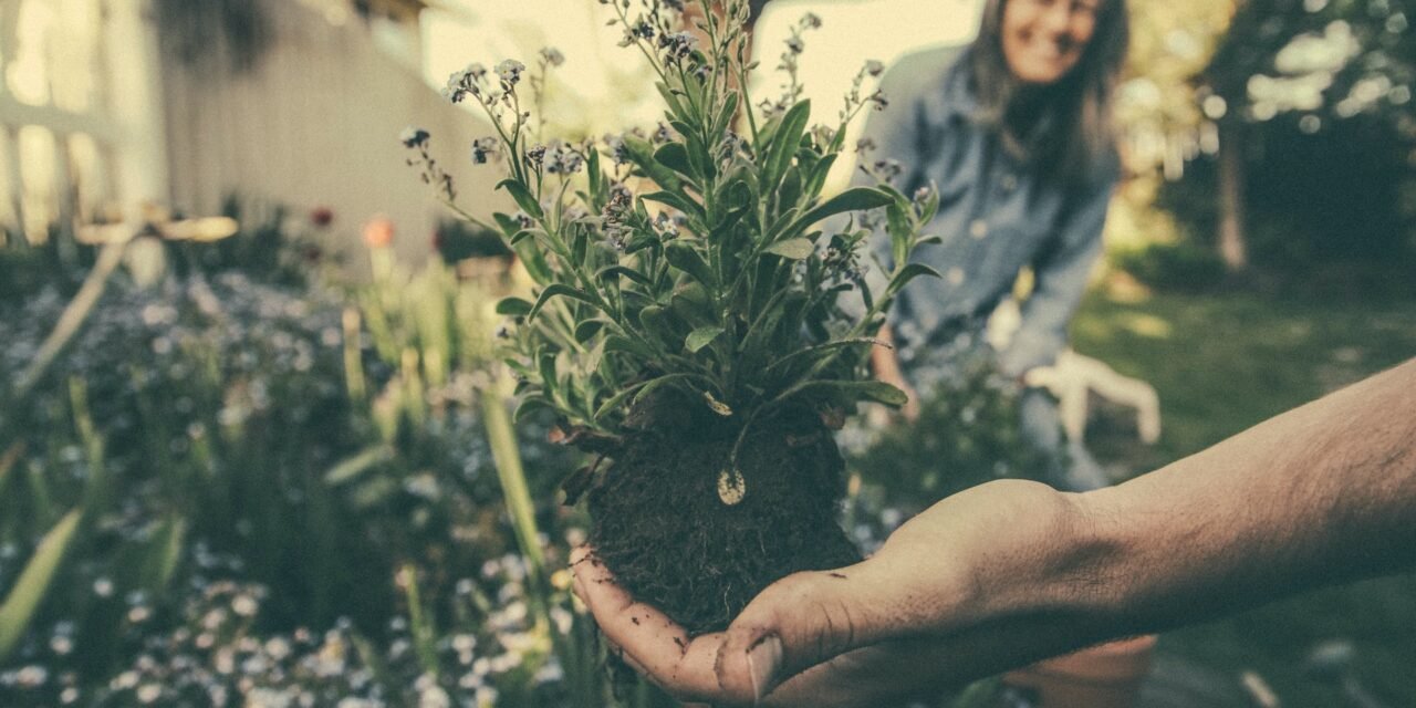 9 Intriguing Benefits of Gardening