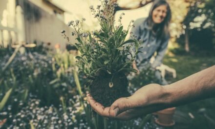 9 Intriguing Benefits of Gardening