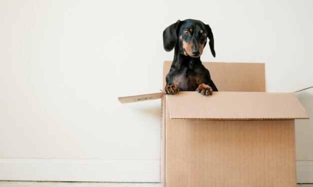 Tips for Finding Affordable Cross Country Moving Services