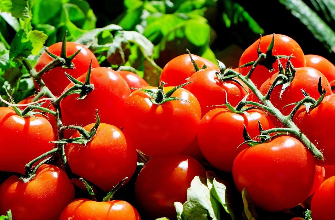 Quinoa and Spinach Stuffed Tomatoes from Hansen Garbarino Vineyards