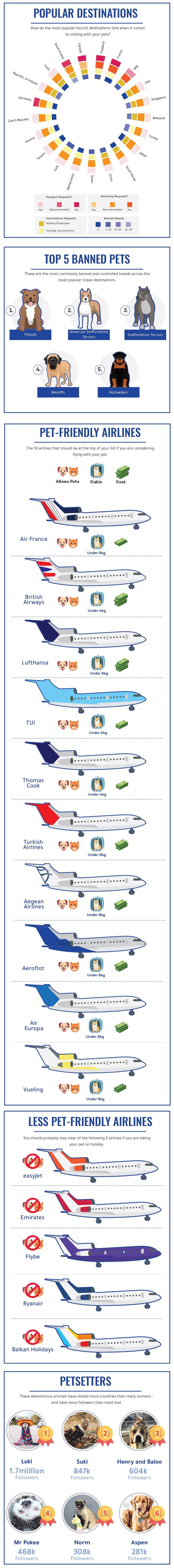 Pets On A Plane: Best And Worst Airlines For Pets