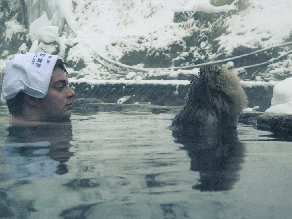 "onsen with monkey" (CC BY 2.0) by spDuchamp