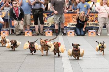 Oktoberfest Zinzinnati!