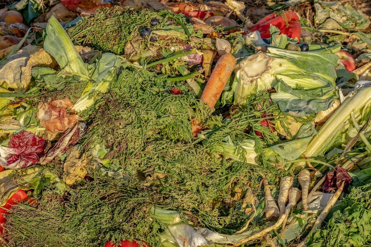 James Beard Foundation Launches Waste Not Initiative to Combat Food Waste