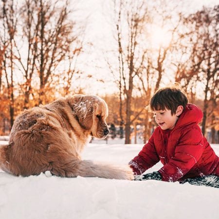 Help Pets Ward Off Winter Risks