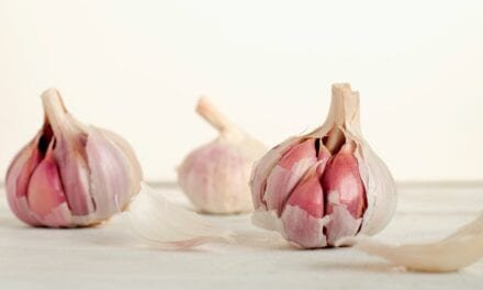 Health Benefits of Garlic