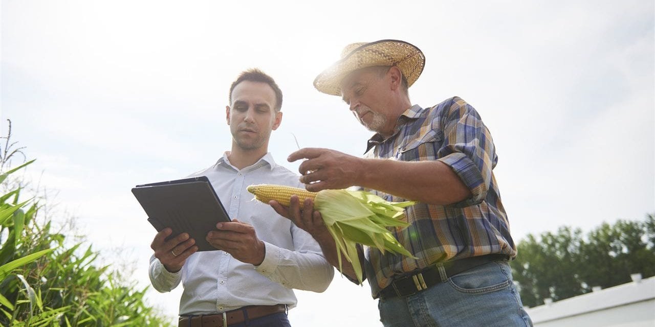 Agriculture insight: Major players nurture innovation by supporting startups