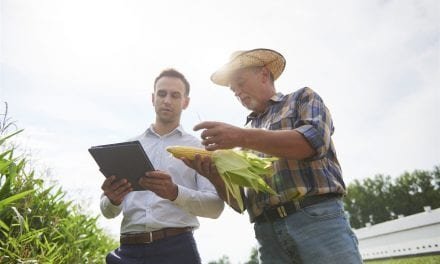 Agriculture insight: Major players nurture innovation by supporting startups