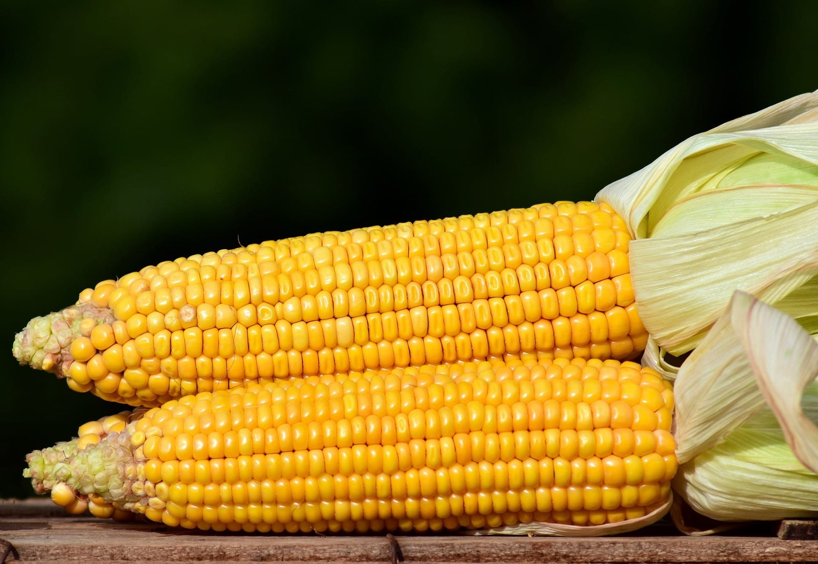 easy grilling recipes corn slaw