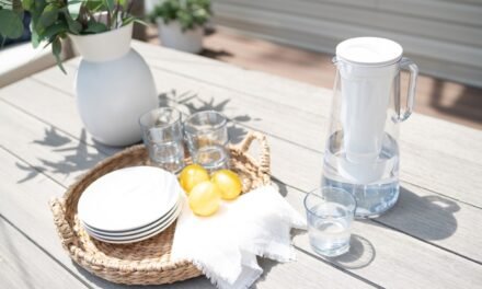 Tips for Healthy and Sustainable Outdoor Dining