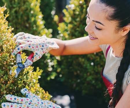 5 Steps to Prep Your Yard for Spring