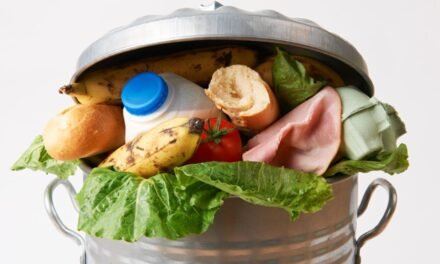 Natural Food Storage Containers Can Help Save Money