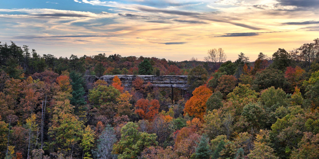 Check Out These Recommendations for the Perfect Fall Getaway