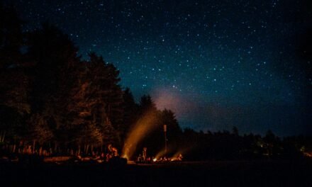 76% of holidaymakers want to experience night tourism