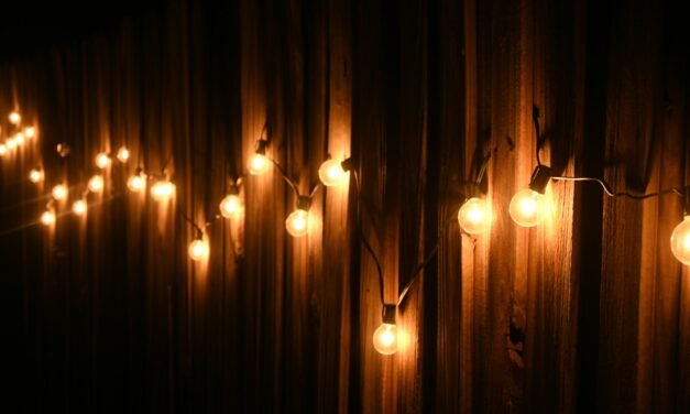 Tips for Designing a Backyard With Style and Functionality