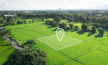 What You Should Know About Buying Remote Land