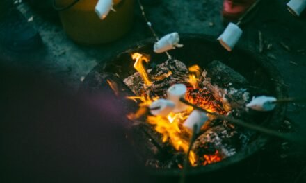 Pickup Truck Camping Tips for an Unforgettable Weekend