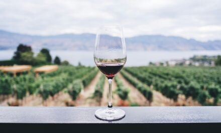 7 Tips To Enjoy Wine Without Staining Your Teeth