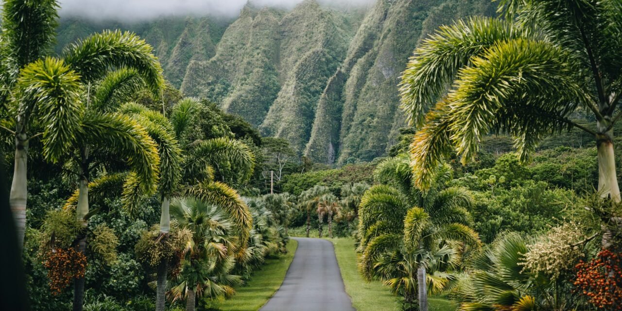 Top Warm-Weather Getaways for Your Winter Vacation