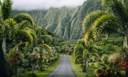 Top Warm-Weather Getaways for Your Winter Vacation