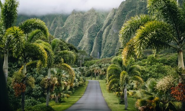 Top Warm-Weather Getaways for Your Winter Vacation