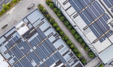 Warehouse Strategies To Minimize Environmental Impact