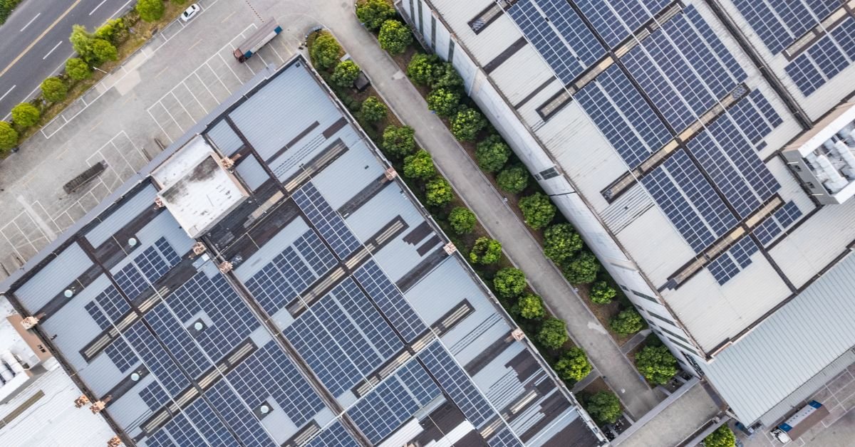 Warehouse Strategies To Minimize Environmental Impact