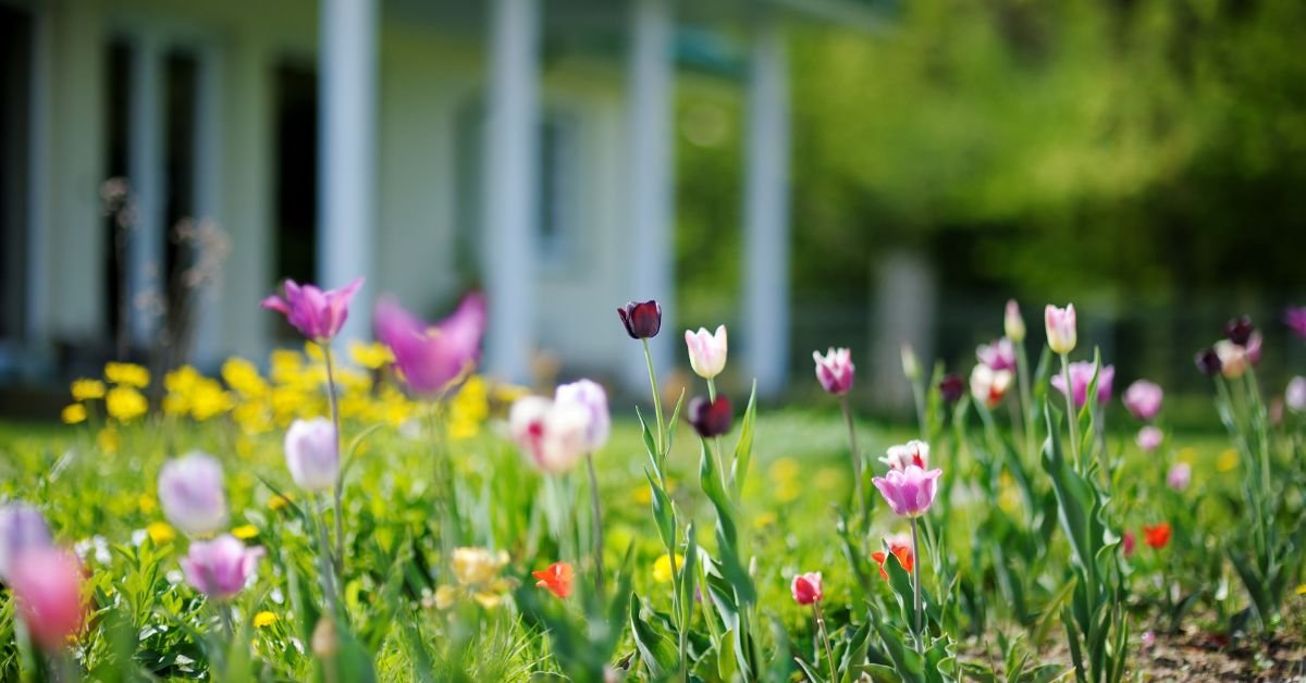 What To Know About Your Yard as Spring Arrives