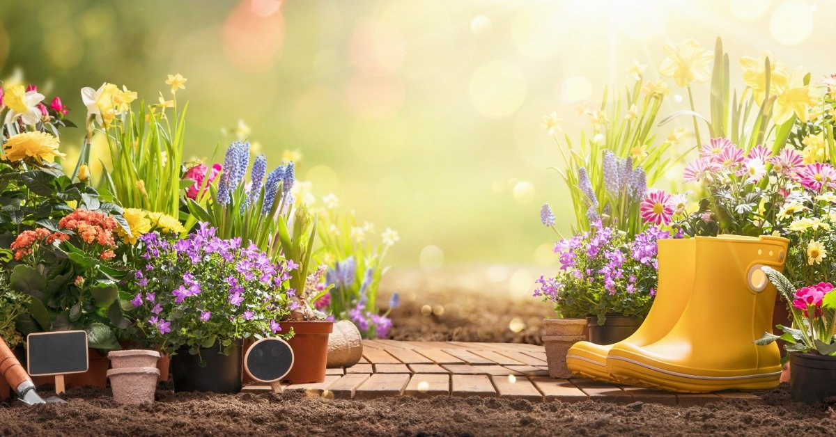 Eco-Friendly Ways To Help Your Garden Thrive