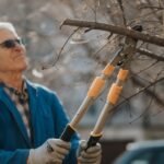 What To Know About Maintaining Your Home’s Trees