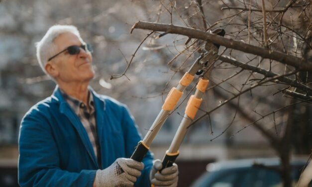 What To Know About Maintaining Your Home’s Trees