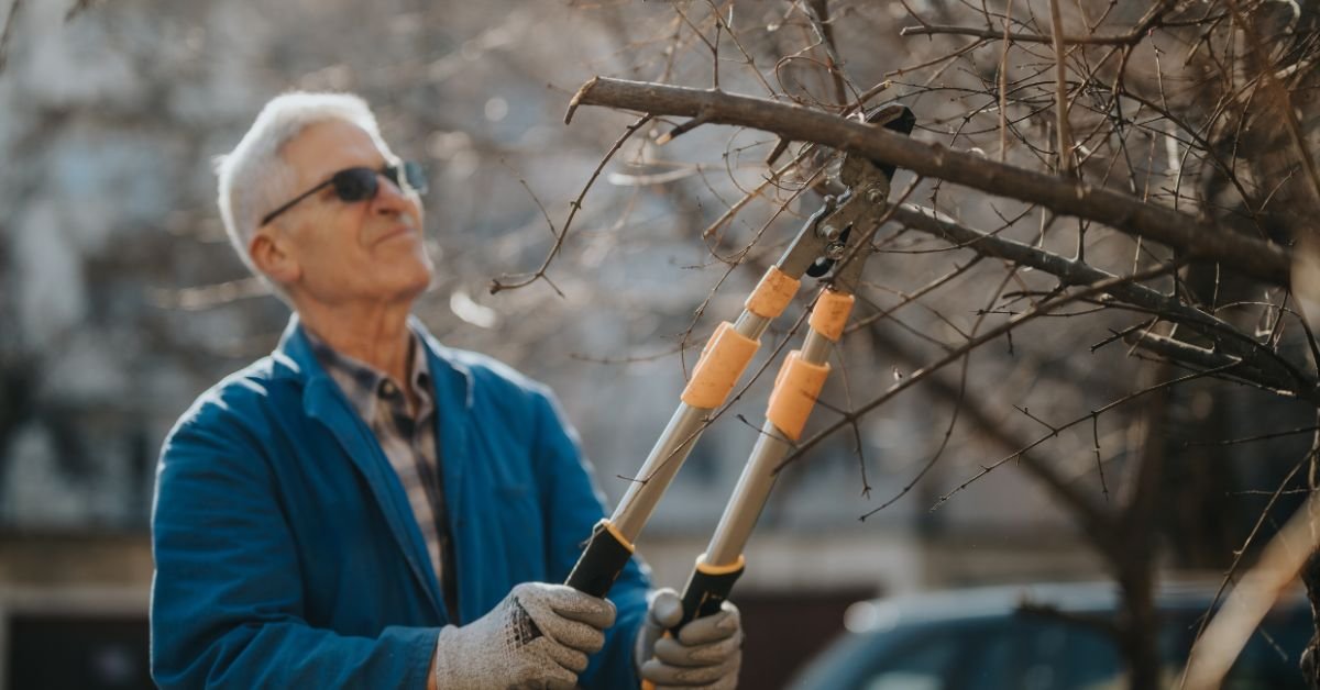 What To Know About Maintaining Your Home’s Trees