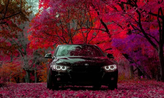 First Impressions Matter: What Your Car Says About You