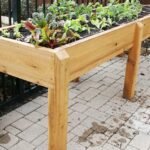 Reasons To Use Raised Beds in Your Garden