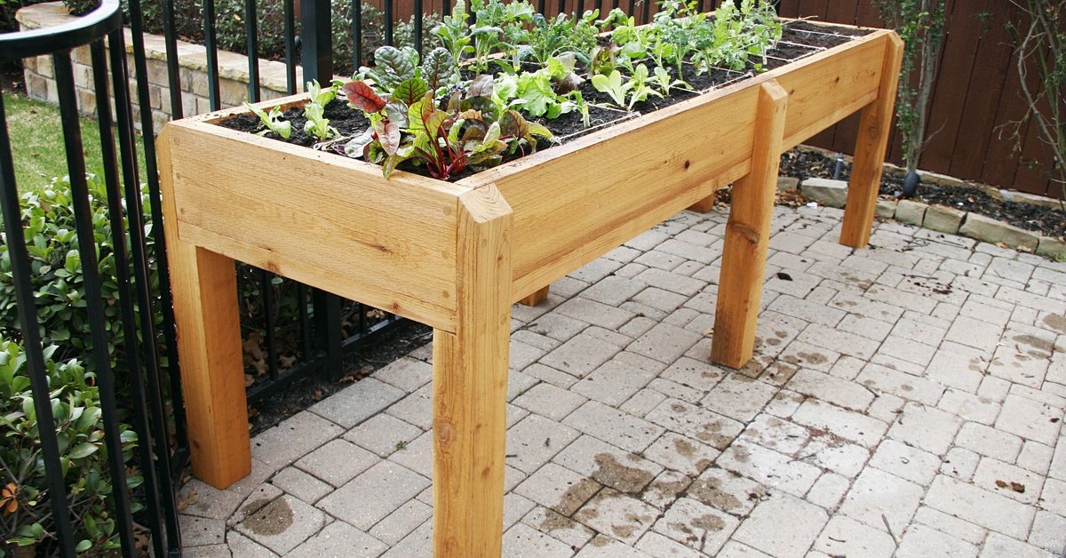 Reasons To Use Raised Beds in Your Garden