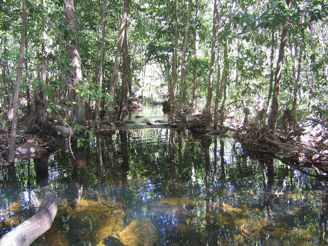 The Wonders of Kakadu National Park