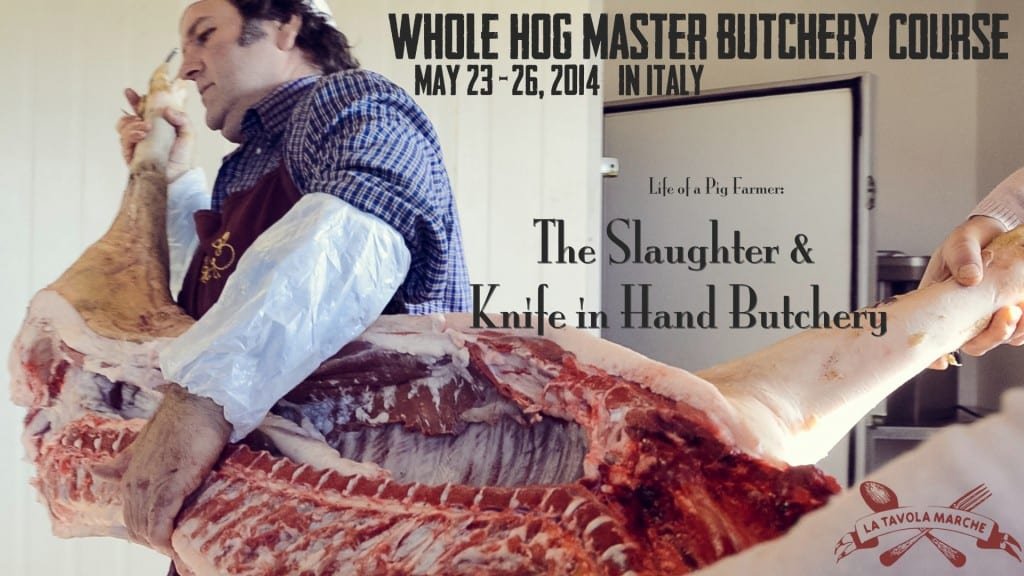 Whole Hog Butchery Course in Italy/ La Tavola Marche