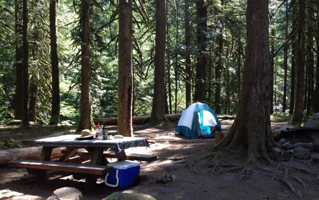 Tollgate Campsite Photo: Kim E. MacQuarrie 