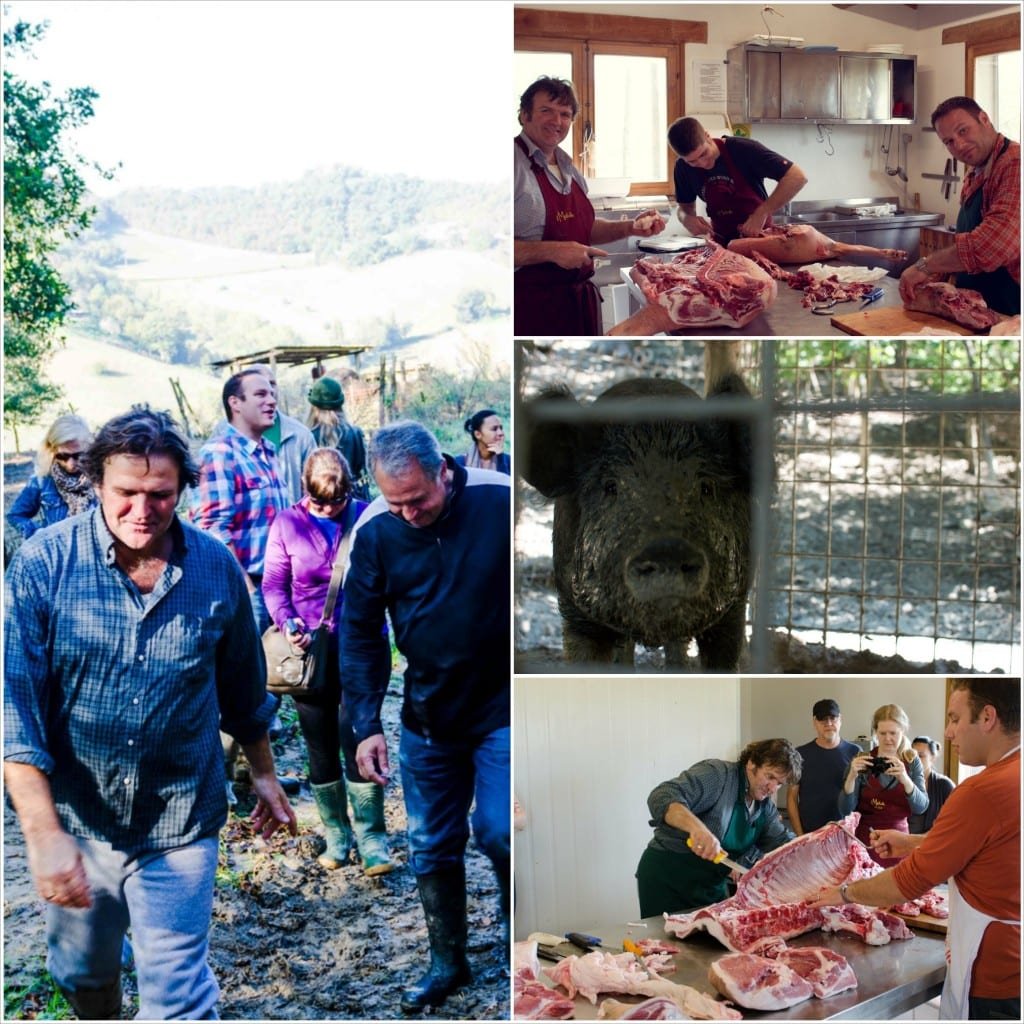 Whole Hog Butchery Course in Italy/ La Tavola Marche